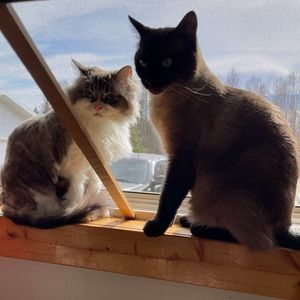 Meet your Posher, Sydney